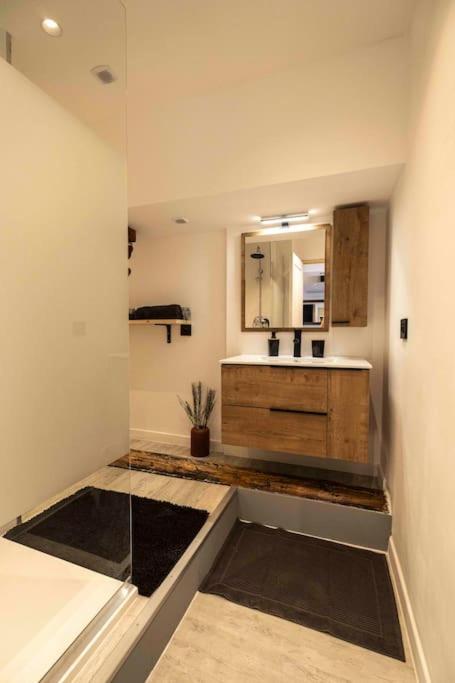 Apartamento Cocon Sous Les Toits Albertville Exterior foto