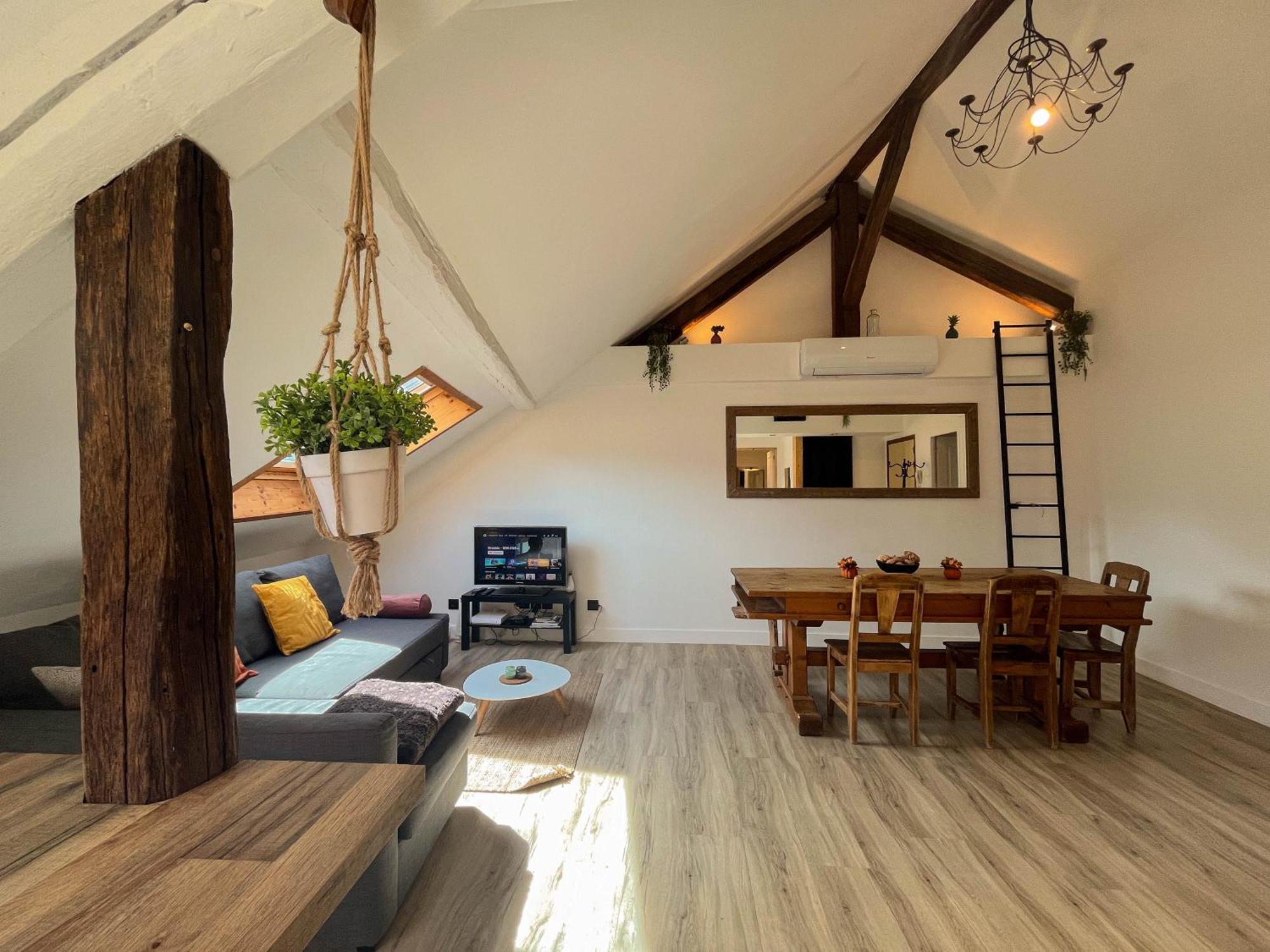 Apartamento Cocon Sous Les Toits Albertville Exterior foto